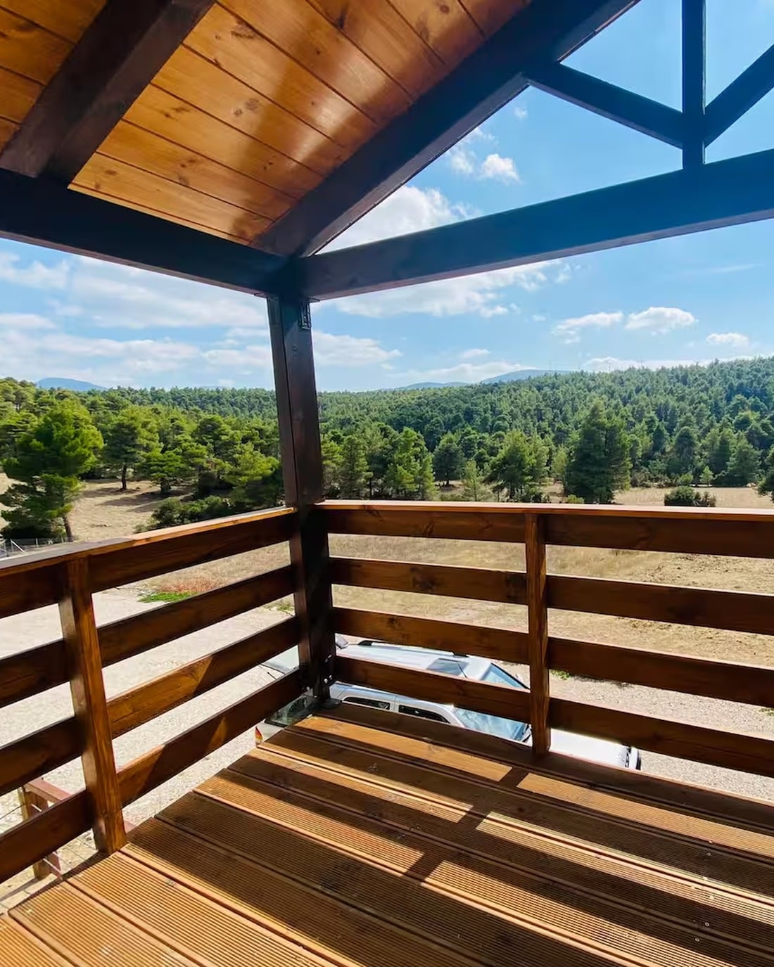 The pine forest and meadow in summer, seen from the wooden balcony