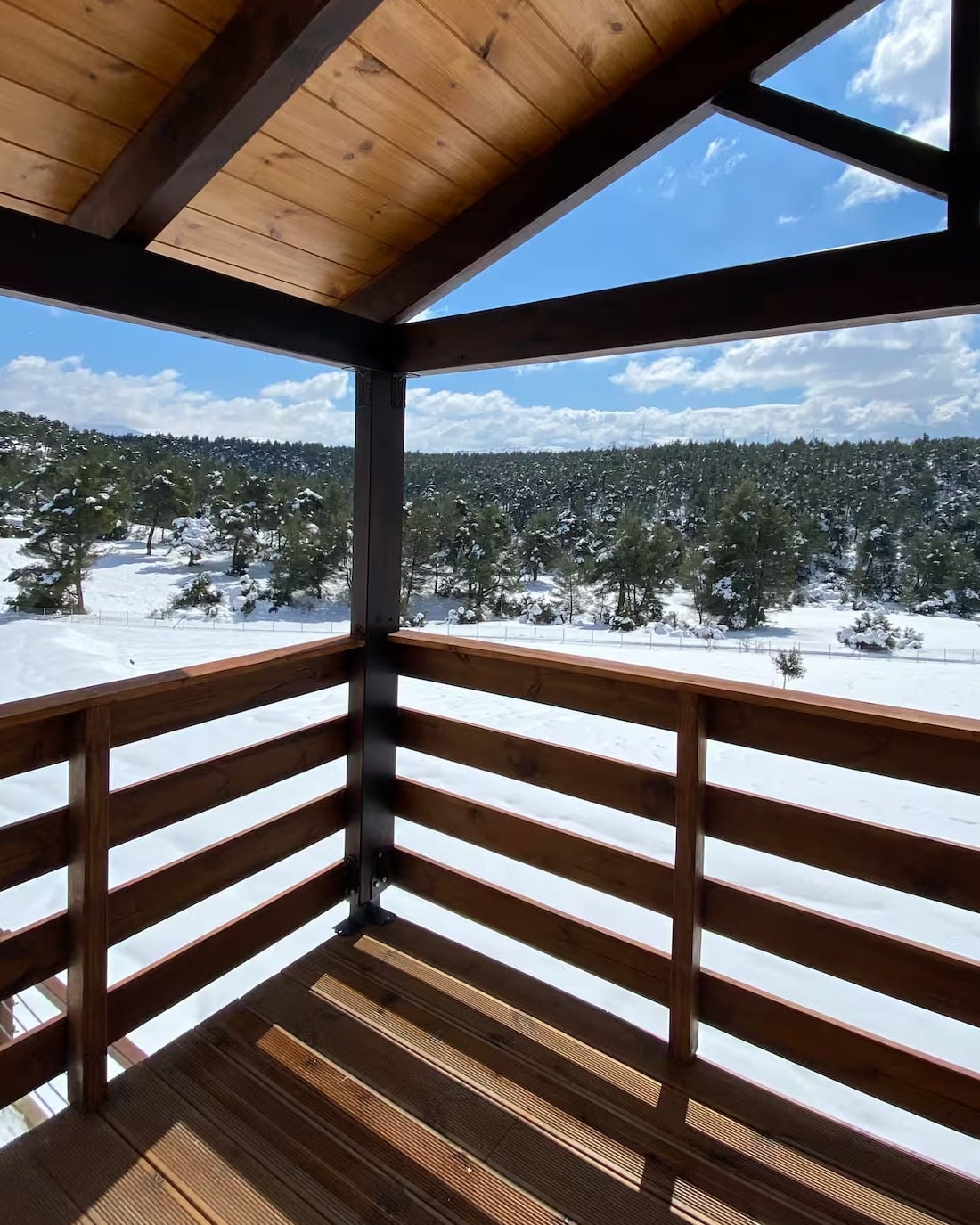 The same balcony view in winter, with the forest and meadow under snow