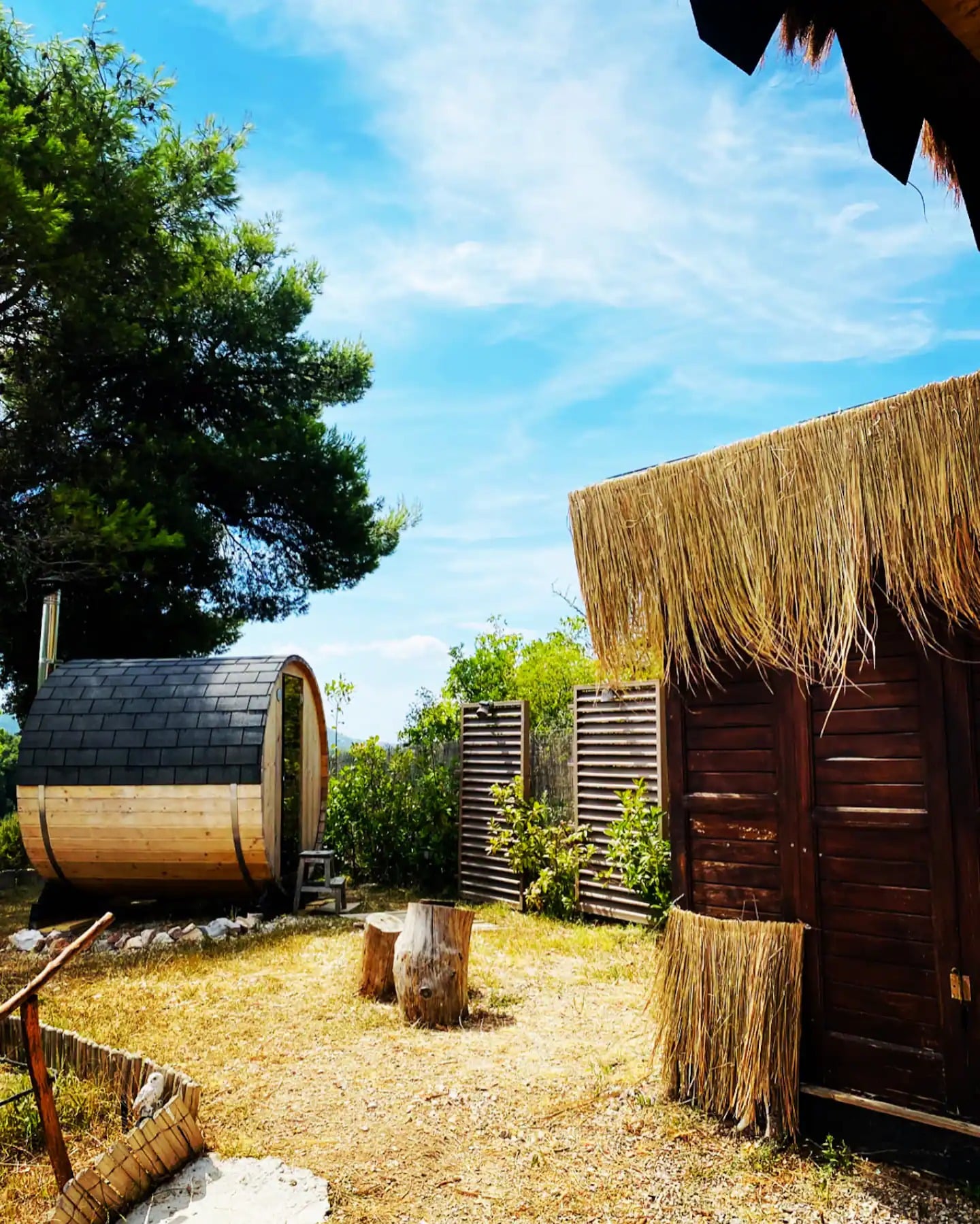 The barrel sauna under a pine tree, next to the thatched wooden bathroom