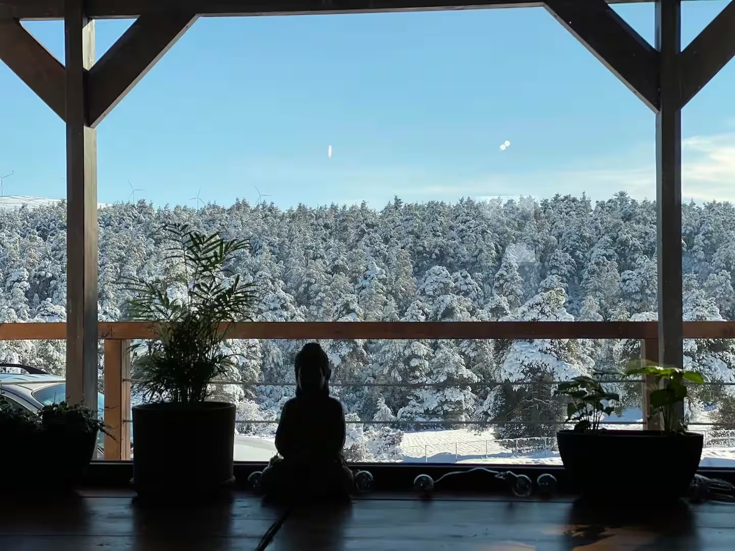 The snow-covered pine forest seen from inside the house, past plants on the windowsill